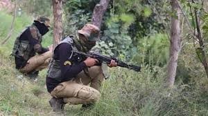 army