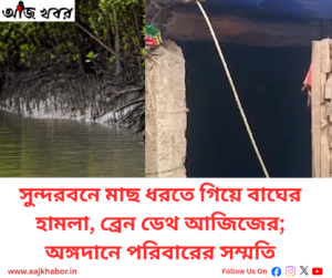 সুন্দরবনে বাঘের হামলায় আহত মৎস্যজীবী আজিজ মোল্লা
